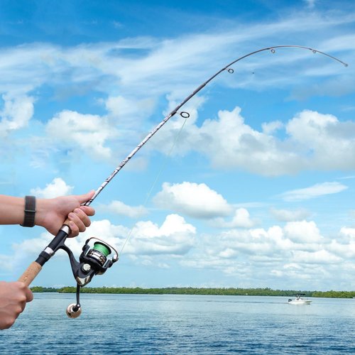Sougayilang Glass Fishing Rods, Spinning & Casting Rods, Strong, 100% Phenolic Glass Blanks, Stainless Steel Guide- Spinning- 6'0"