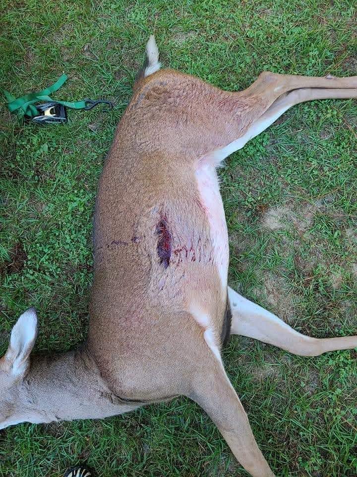 Fire N The Hole Tomahawk 1x4 Crossbow Broadhead