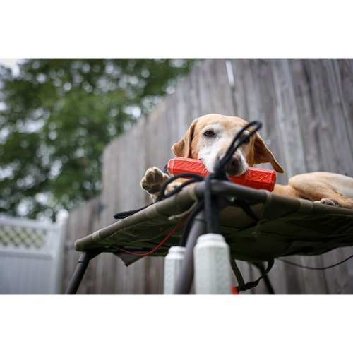 Momarsh Floating Dog Training Bumper, Blind PRO-Pack, Orange, Medium, 3-Pack