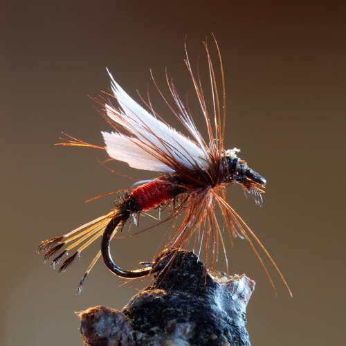 Goture Fly Fishing Flies,30pcs Fly Fishing Lures,Dry Flies Wet Flies Streamers Nymphs Flies, Fly Fishing Assortment Kit for Bass Trout Panfish Salmon Fishing