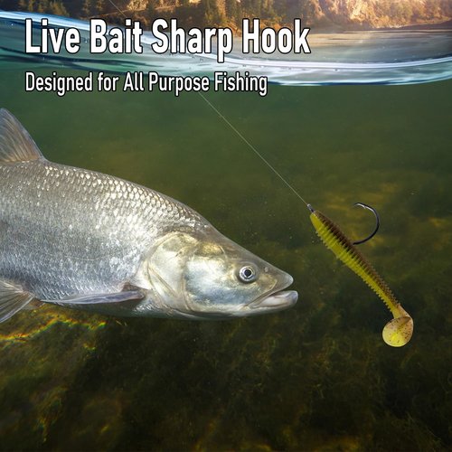 Dr.Fish 30 Pack in-line Circle Hooks 1X Strong Freshwater&Saltwater Fishing Hooks Non-Offset Wide Gap Light Wire Bass, Catfish, Striper #1