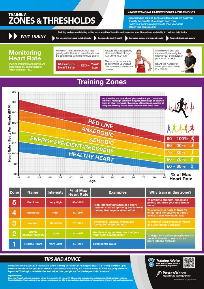Posterfit Training Zones & Thresholds Poster - EXTRA LARGE - 33 x 23.5 - Laminated - Home & Gym Poster - Includes Online Video Training Support - Exercise Charts