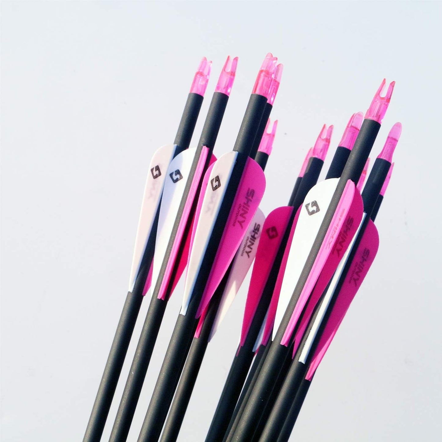 30Inch Carbon Arrow Practice Hunting Arrows with Removable Tips for Compound & Recurve Bow(Pack of 12)