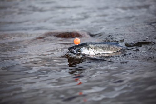 BnR Tackle Soft Beads Pro Pack River Run
