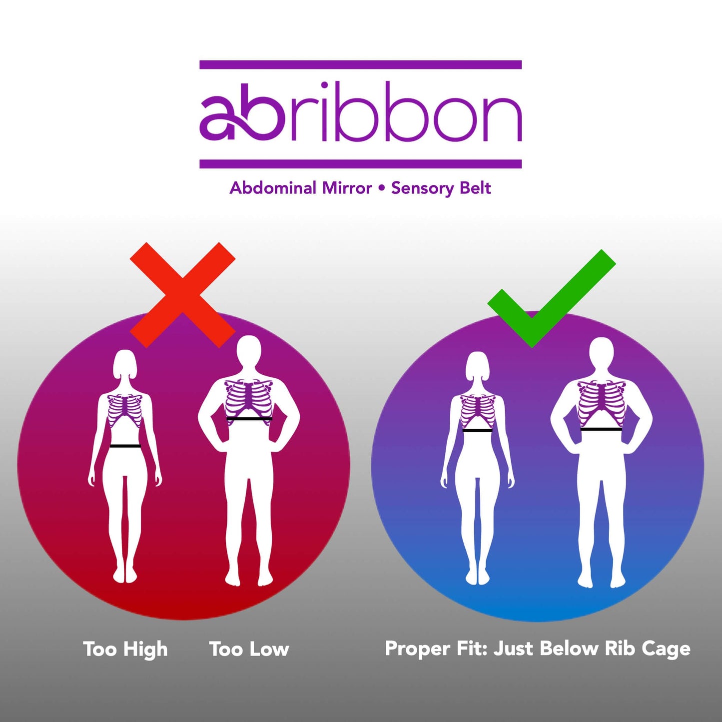 Ab-Ribbon by HYPOXiX Fitness, Abdominal Mirror Sensory Belt for Pilates Barre Yoga Breathography Technique Breathwork and Physical Therapy, (M-XL) Fits Waists 25.5in - 40.5in 64.77cm -102.87cm