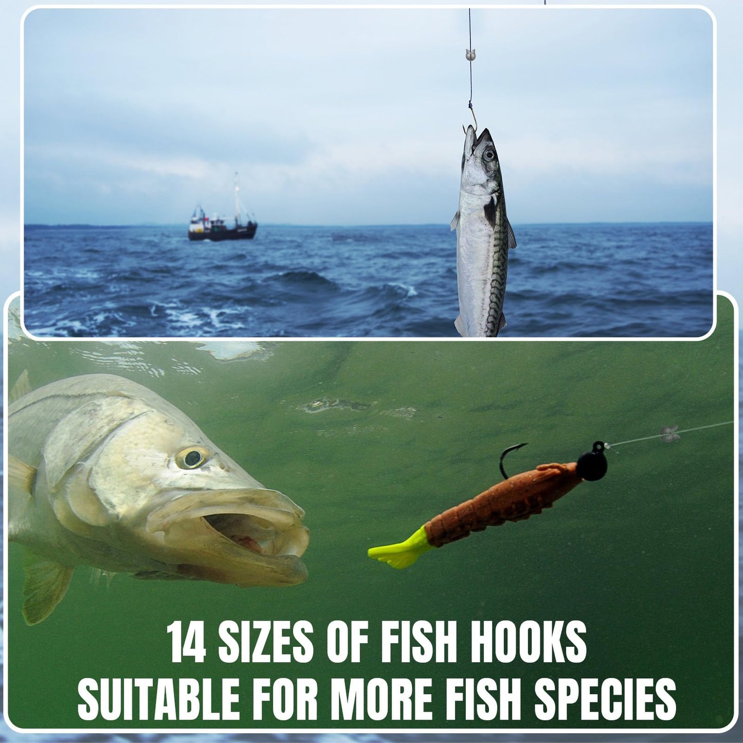 JellyArch 800 Pcs Fishing Accessories Kit Includes 700 Pcs 14 Sizes Carbon Steel Fishing Hooks 100 Pcs 9 Weights Removable Split Shot Sinker Circle Hooks Saltwater Fishing Sinkers and Weights with Box