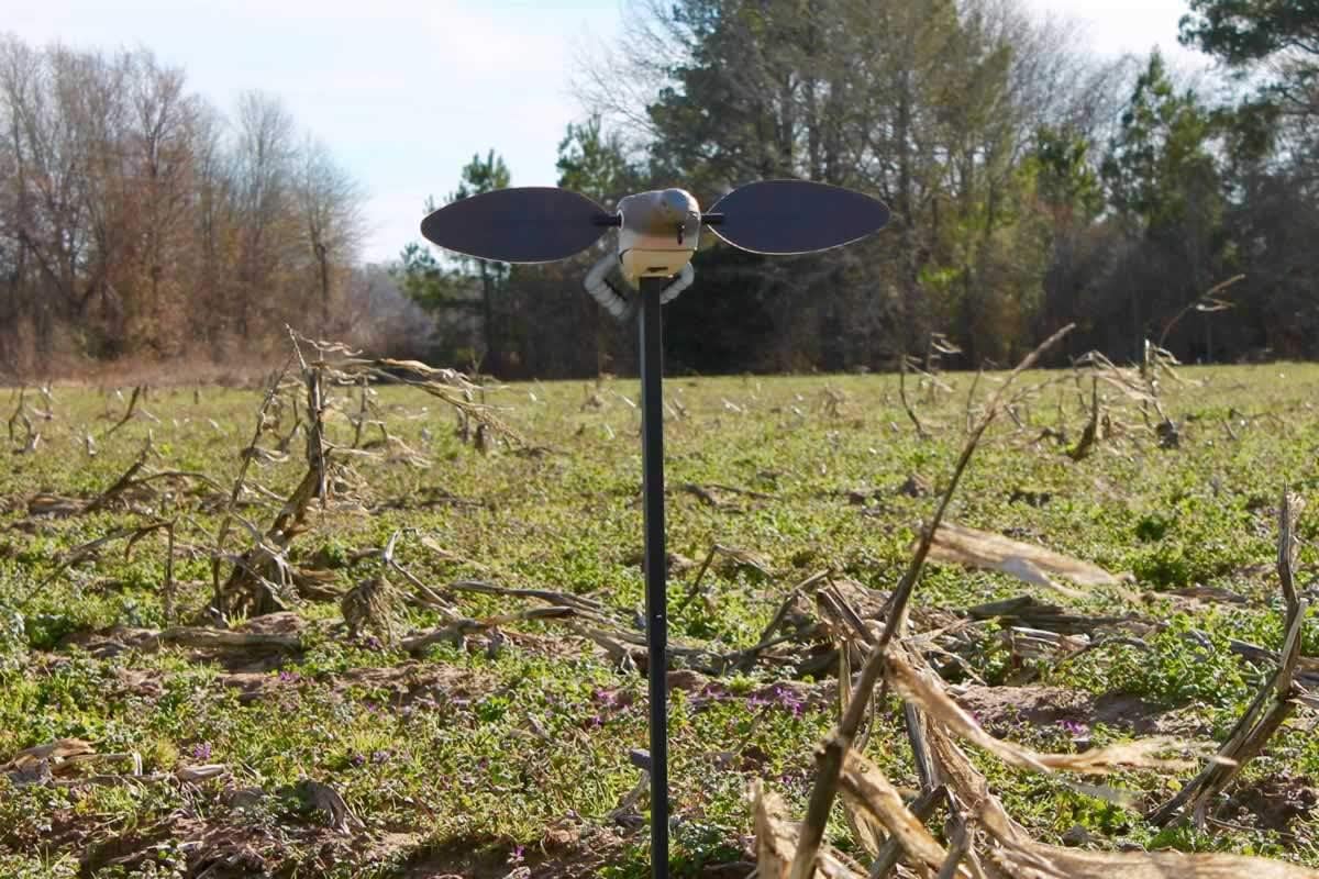 MOJO Outdoors Dove Hunting Decoys and Accessories – (Choose Style)