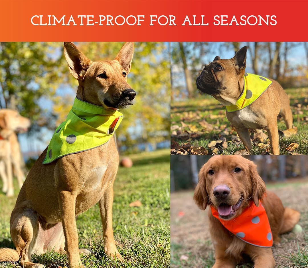 SPOT THE DOG! Reflective Bandana Bib Safety Apparel for All Dogs - Easy Fastening Closure, Reversible High Visibility Fluorescent Orange/Yellow XS-S