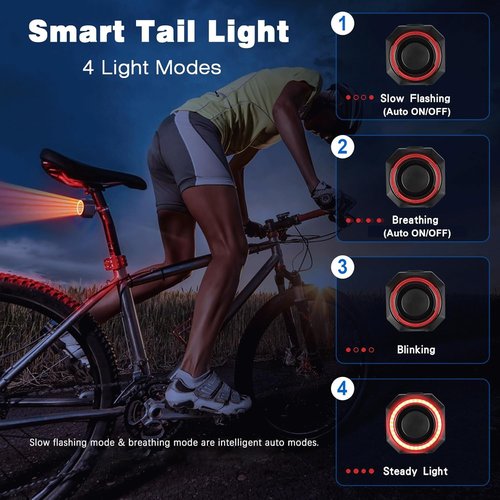 Multi-Functional Smart Bike Tail Light Alarm Bike Brake RED Light Auto ON/Off Anti Theft with Remote Waterproof Bicycle Alarm Rear Bike Light Bicycle Tail Light LED Rechargeable