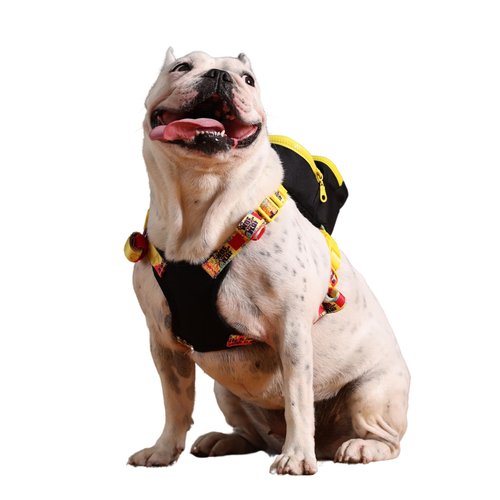 PawLook Dog Backpack to Wear with Chest Harness Self Carrier dogbag with Additional Pocket for Poop Bag Anti Slip Stylish Dog Bag for Your pet Gimme Five Serie Black Small