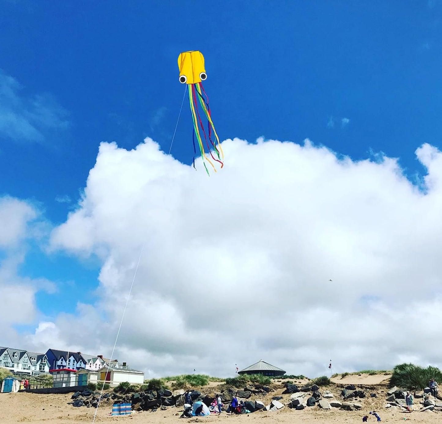 Flying Hoofer Large Octopus Kites(2packs) for Kids and Adults - Easy to Fly, 28X158 3D Software Colorful Kite with Long Tails. Perfect for Beach and Outdoor Activities (Red & Blue).