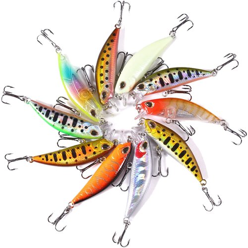 LURESMEOW Jerkbait Fishing Lures Jerk Baits for Bass Fishing Jerk Bait Minnow Lures with Tackle Box for Freshwater Saltwater,10pcs