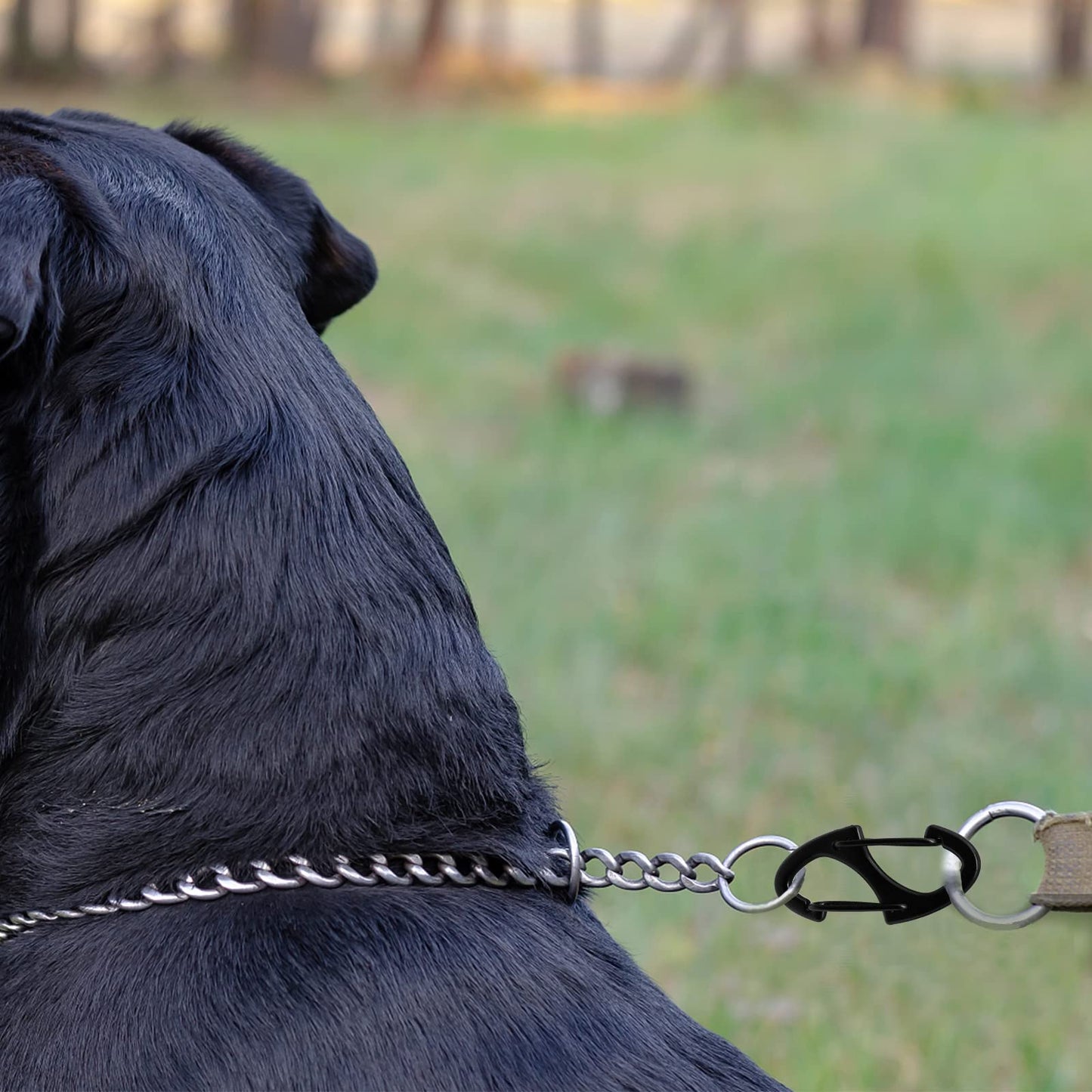 Hitefu 20PCS Dual Carabiner Clips, 1.6 Inch Small Metal S Snap Hook Dual Spring Wire Gate Clip, Tiny Carabiner Clip for for Outdoor Sports Fishing Camping(Black & White)