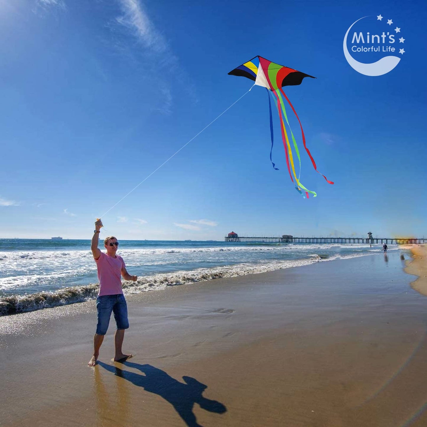Mint's Colorful Life Rainbow Delta Kite, Polyester; Fiberglass, Large, 5-18 mph Wind Range, Ages 3-80, W/6 Ribbon Tails, Perfect for Travels