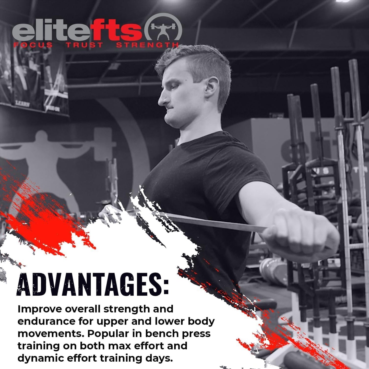 Pro Resistance Band for Core Stability & Flexibility - EliteFTS Portable & Joint-Friendly