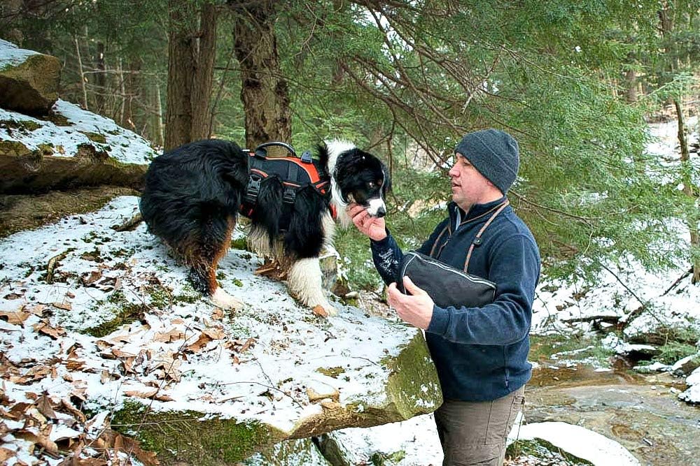 Adventure Pack, Black/Orange, Medium