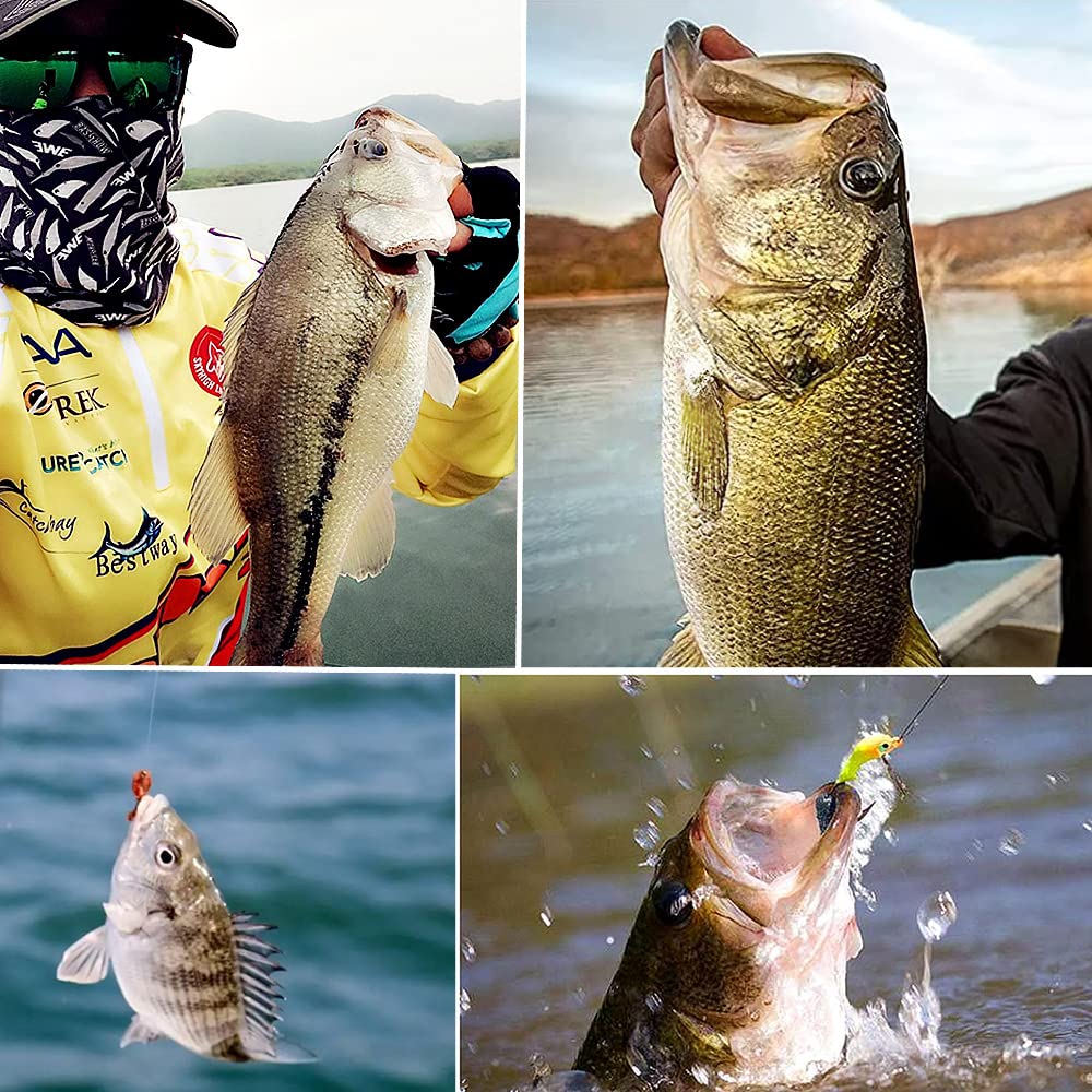 Fishing Lures Tackle Box Bass Fishing Kit,Saltwater and Freshwater Lures Fishing Gear Spinnerbaits, Plastic Worms, Jigs, Topwater Lures, Tackle Box