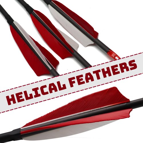 Carbon Arrows 400 Spine Shaft with Helical Real Feathers and Removable Tips for Archery Hunting Target Shooting Pack of 6