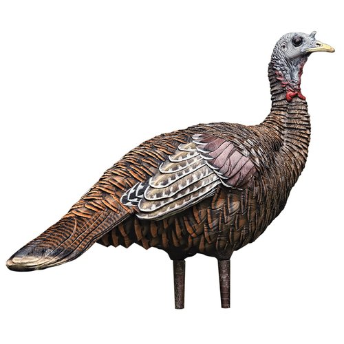 Avian-X HDR Feeding Hen & LCD Lookout Hen Turkey Decoys with Carry Bags & Stakes | Durable Realistic Lifelike Hunting Decoys