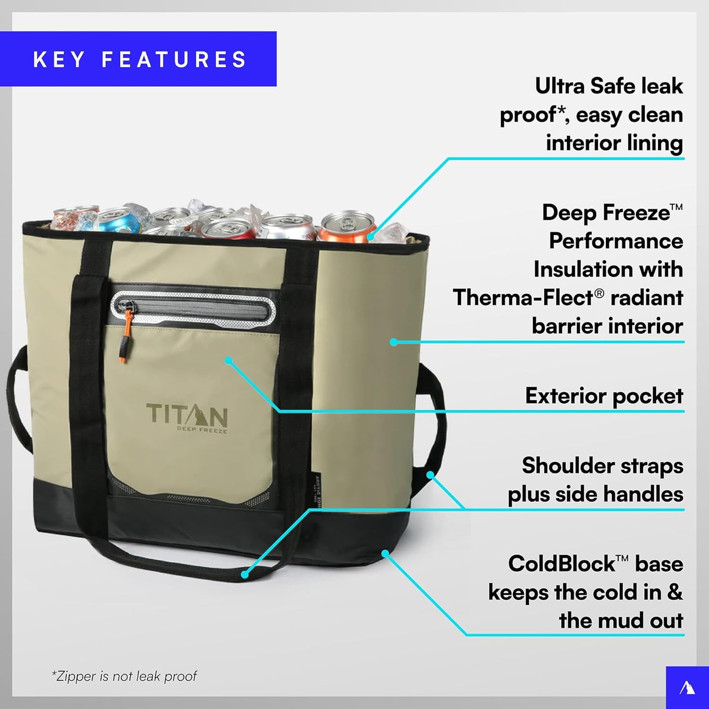 Titan by Arctic Zone Deep Freeze 30 Can Insulated Tote Bag