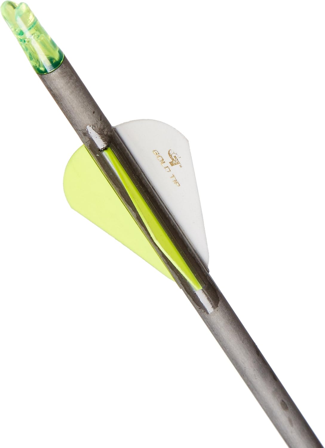 Gold Tip Hunter XT Carbon Arrows with Raptor Vanes - Pack of 6 for Precision Archery