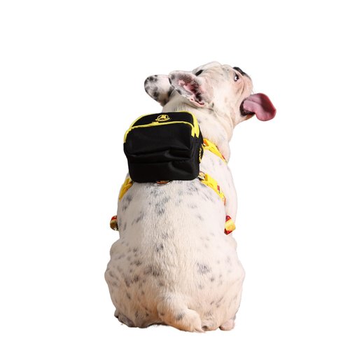 PawLook Dog Backpack to Wear with Chest Harness Self Carrier dogbag with Additional Pocket for Poop Bag Anti Slip Stylish Dog Bag for Your pet Gimme Five Serie Black Small