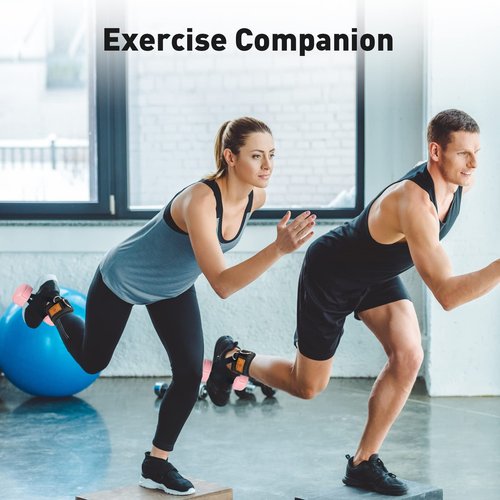 ELEAMY Ankle Straps for Dumbbells and Cable Machines, Dumbbell Foot Attachment, Tibialis Trainer, Leg Extensions for Women and Men (Black 2PC)