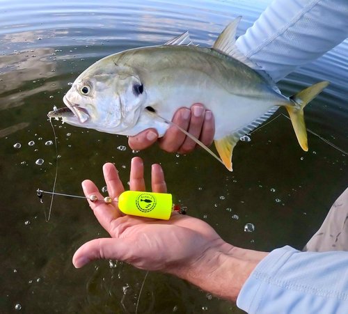 BUBBLE FISHING Popping Corks Floats for Saltwater Inshore Fishing Bobber 4pcs Rattle Rig Weighted Oval Popper Redfish Speckled Trout