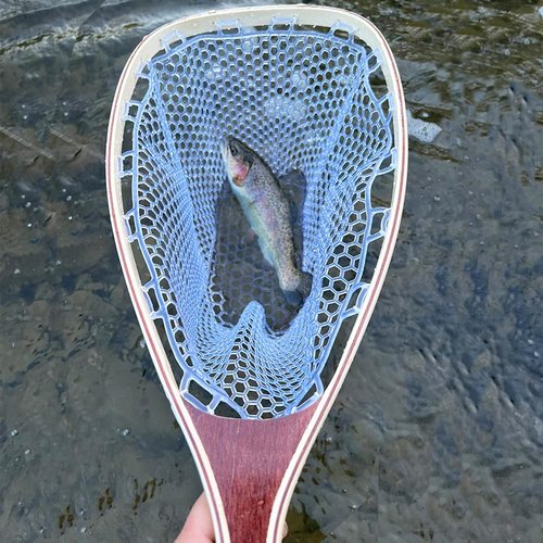 Kylebooker Fly Fishing Landing Net Wooden Frame Trout Fishing Net Soft Rubber Mesh for Catch and Release