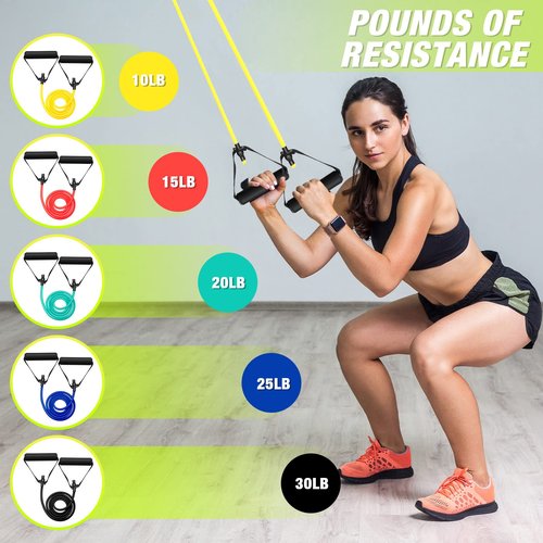 Leyndo 5 Pcs Exercise Resistance Bands with Handles Physical Resistance Tube Workout Bands with Door Anchor for Men Women Muscle Toning Strength Training(10-30 Lbs)