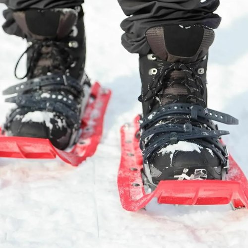NICENEEDED 4 Pack 18 Inch Snowshoe Strap Kit, Adjustable Ski Boot Wraps Ties Multipurpose Snowshoes, Portable Shoe Grippers Replacement Straps for Women Men