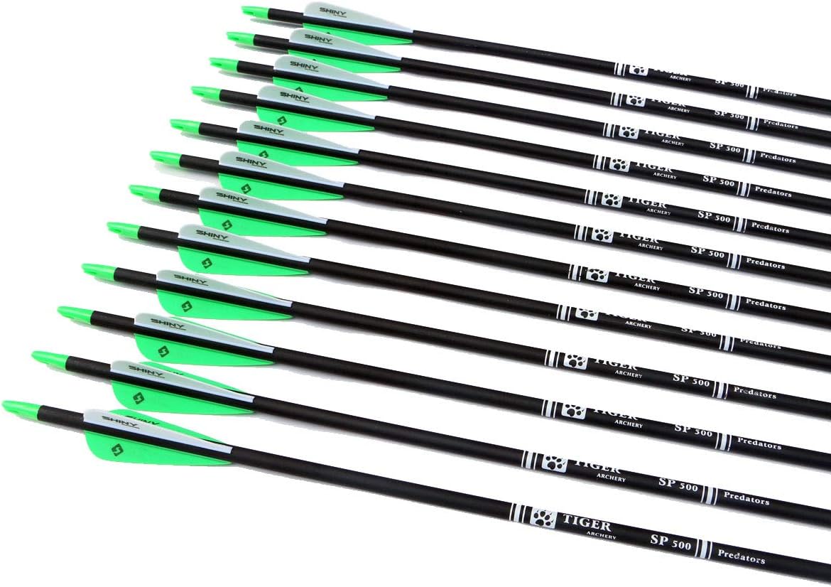 30Inch Carbon Arrow Practice Hunting Arrows with Removable Tips for Compound & Recurve Bow(Pack of 12)