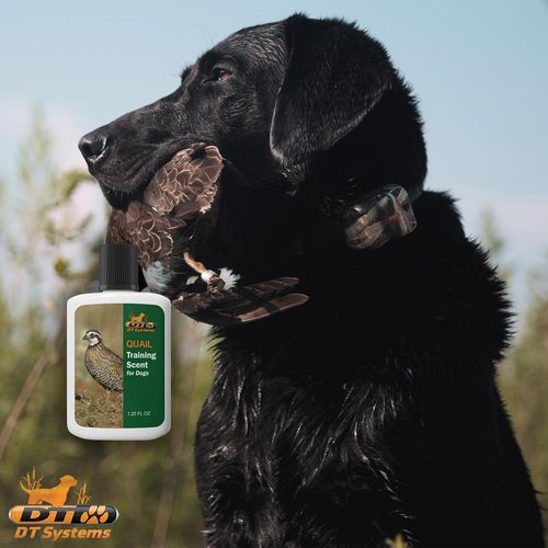 DT Systems Super Pro Series Training Scents, Natural Real Concentrated Hunting Retriever Dog Field Game Trailing Scent Training Aid for Puppies, Adult & Senior Dogs, 1.25 oz
