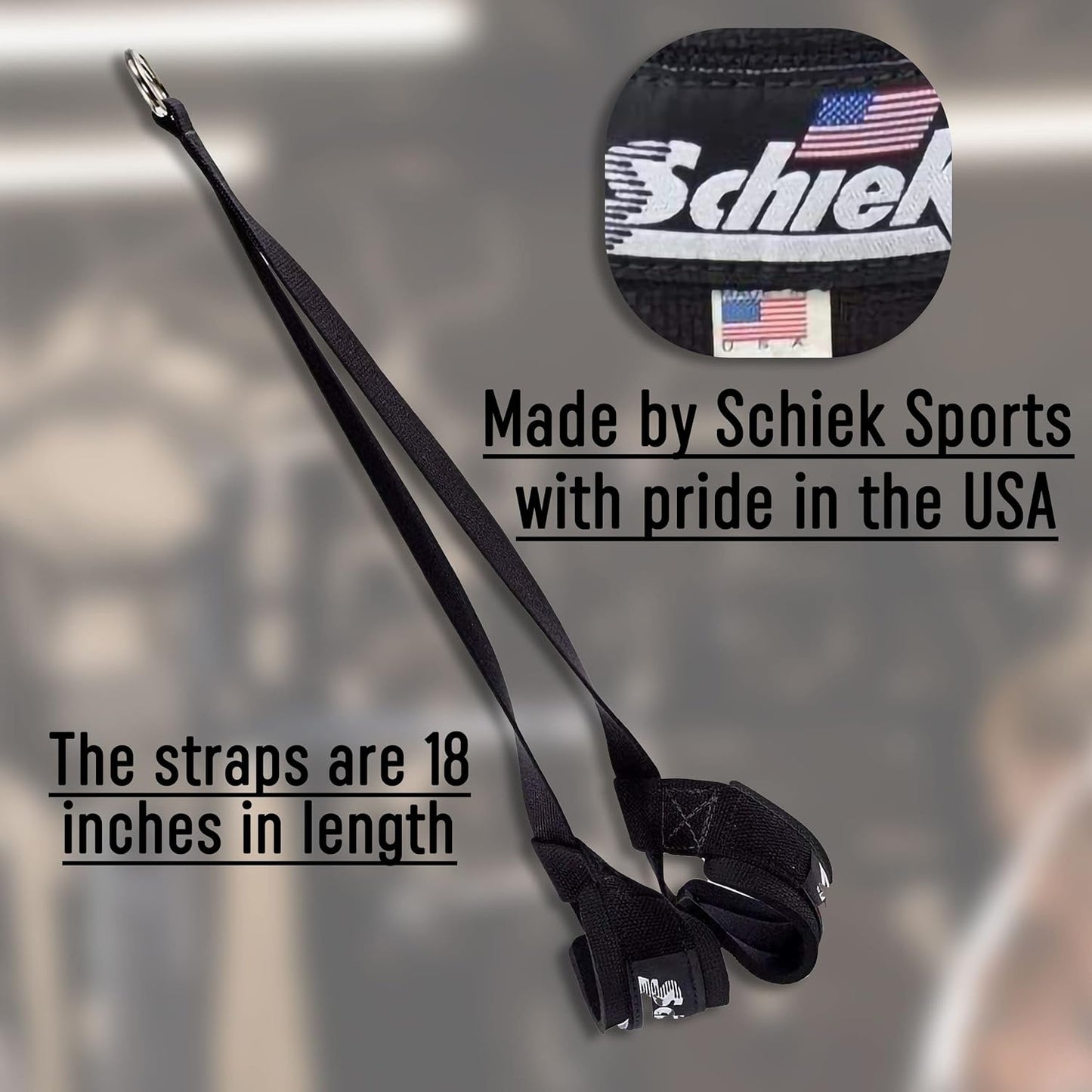 Schiek Ab Strap for Cable Machines - Superior Comfort Pull Up Straps for Women and Men