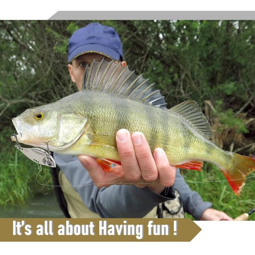 Zsrivk 10PCS Fishing Lures, Metal VIB Hard Blade Baits, Spinner Spoon Metal Fishing Spoon Crankbaits Swimbaits for Trout Walleye Crappie