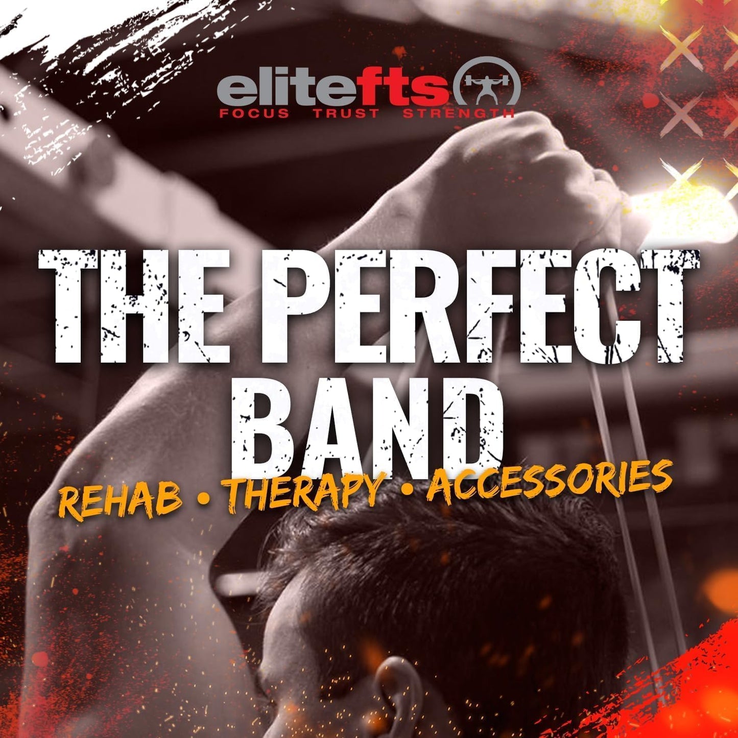 Pro Resistance Band for Core Stability & Flexibility - EliteFTS Portable & Joint-Friendly
