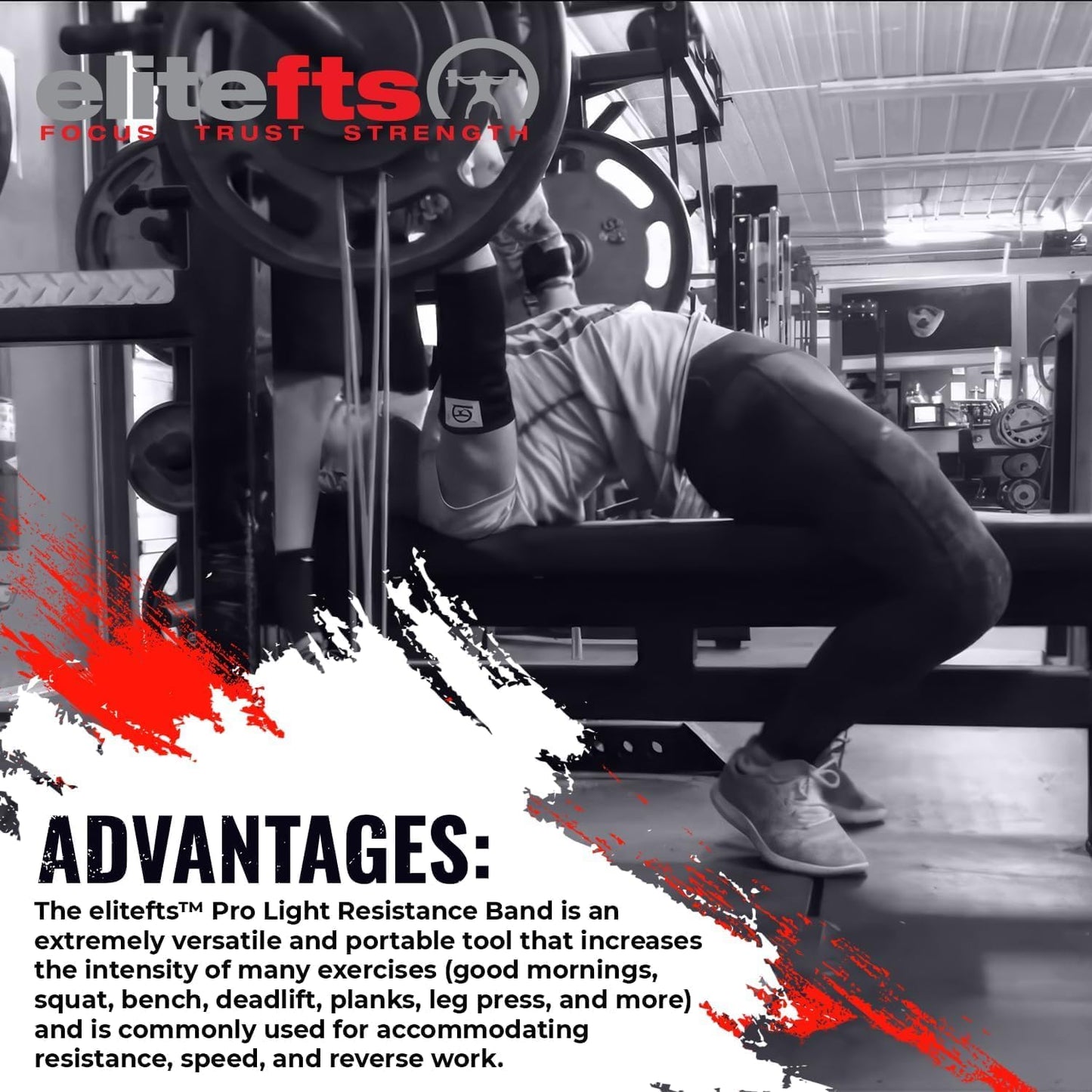 Pro Resistance Band for Core Stability & Flexibility - EliteFTS Portable & Joint-Friendly
