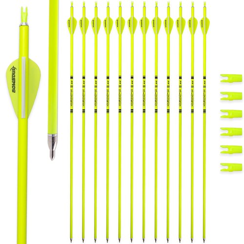 BOWSOUL Carbon Arrow Archery 30inch Bright Colors Hunting Target Practice Arrows for Compound & Recurve Bow Spine 500 with Removable Tips (Pack of 12) (Bright Yellow)