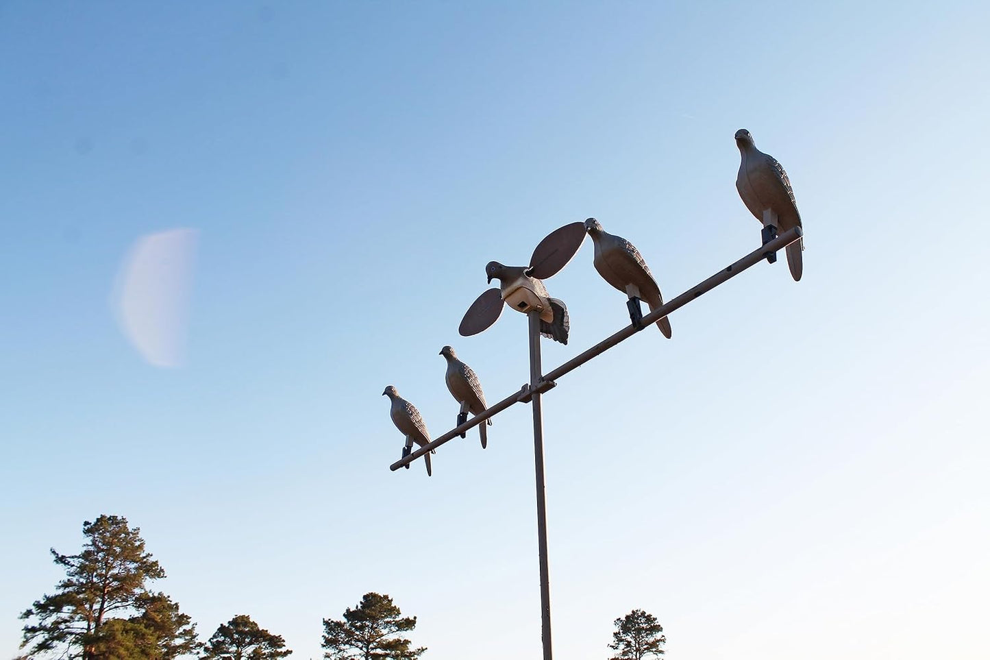 MOJO Outdoors Dove Hunting Decoys and Accessories – (Choose Style)