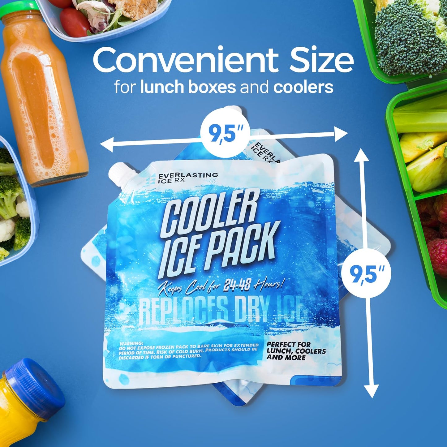 Everlasting Ice RX Reusable Ice Packs for Cooler (4 Pack) Up to 48 Hours Freezer Packs for Coolers and Lunch Boxes | 10 x 10 in | Cooler Ice Packs for Camping, Fishing, Beach, Road Trips