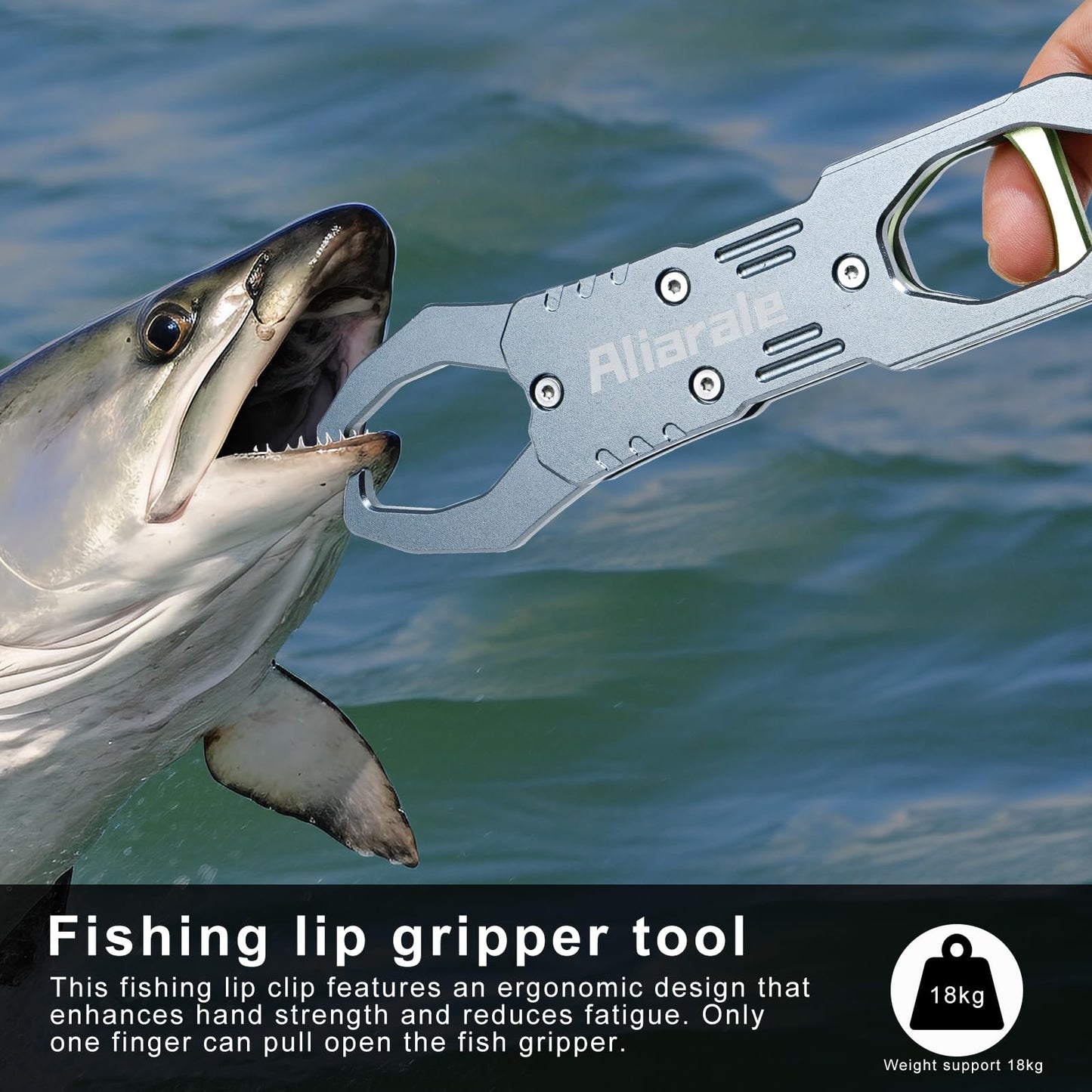 Fish Lip Gripper Fish Scales Professional Fish Holder Aluminium Alloy Material Grabber 40 Pound Fish Lip Grip Tool with Weight Scale and 360 Degree Rotation,Fish Grabber Clip Fish Control Tackle