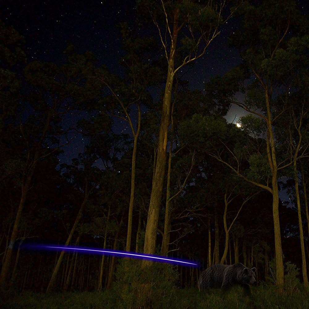 9PCS S Lighted Nocks for Arrows with .244 Inside Diameter Automatic Compound Bow Arrow Nocks for Hunting Shooting