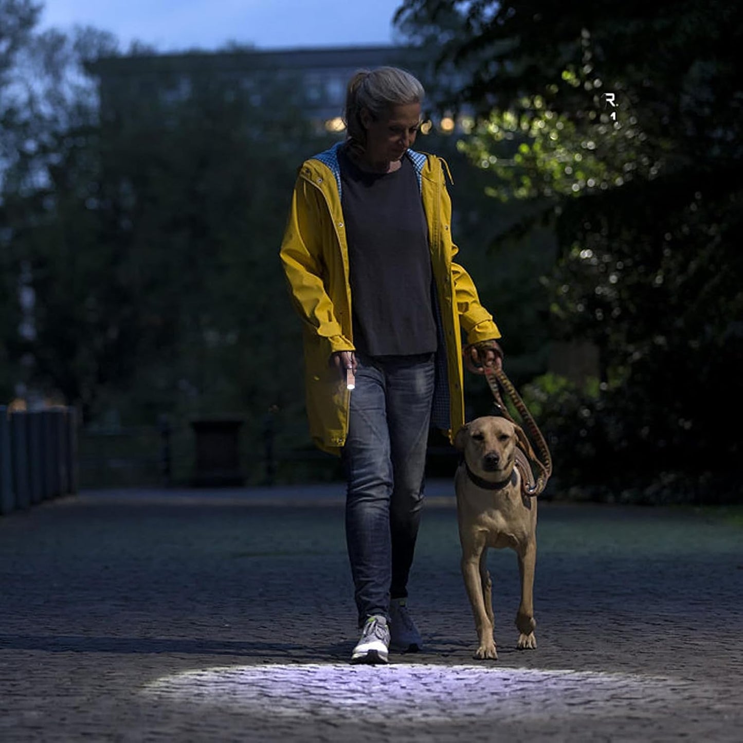 3 Pack Rechargeable Flashlights USB C Mini LED Flashlights for Kids, Camping Lantern Combo Flashlight, Ultralight Zoomable Flashlights for Boys Girls Gift Camping Hiking Night Reading (3 Pack)