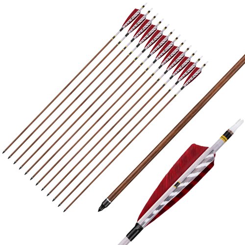 Deerseeker Outdoor Carbon Arrows 32" Hunting Arrow with 4" Turkey Feather for Compound Bows Recurve Bow Traditional Bow with Removable Tips Spine 500/600/700/800 12 Pack (RED, 600 Spine)
