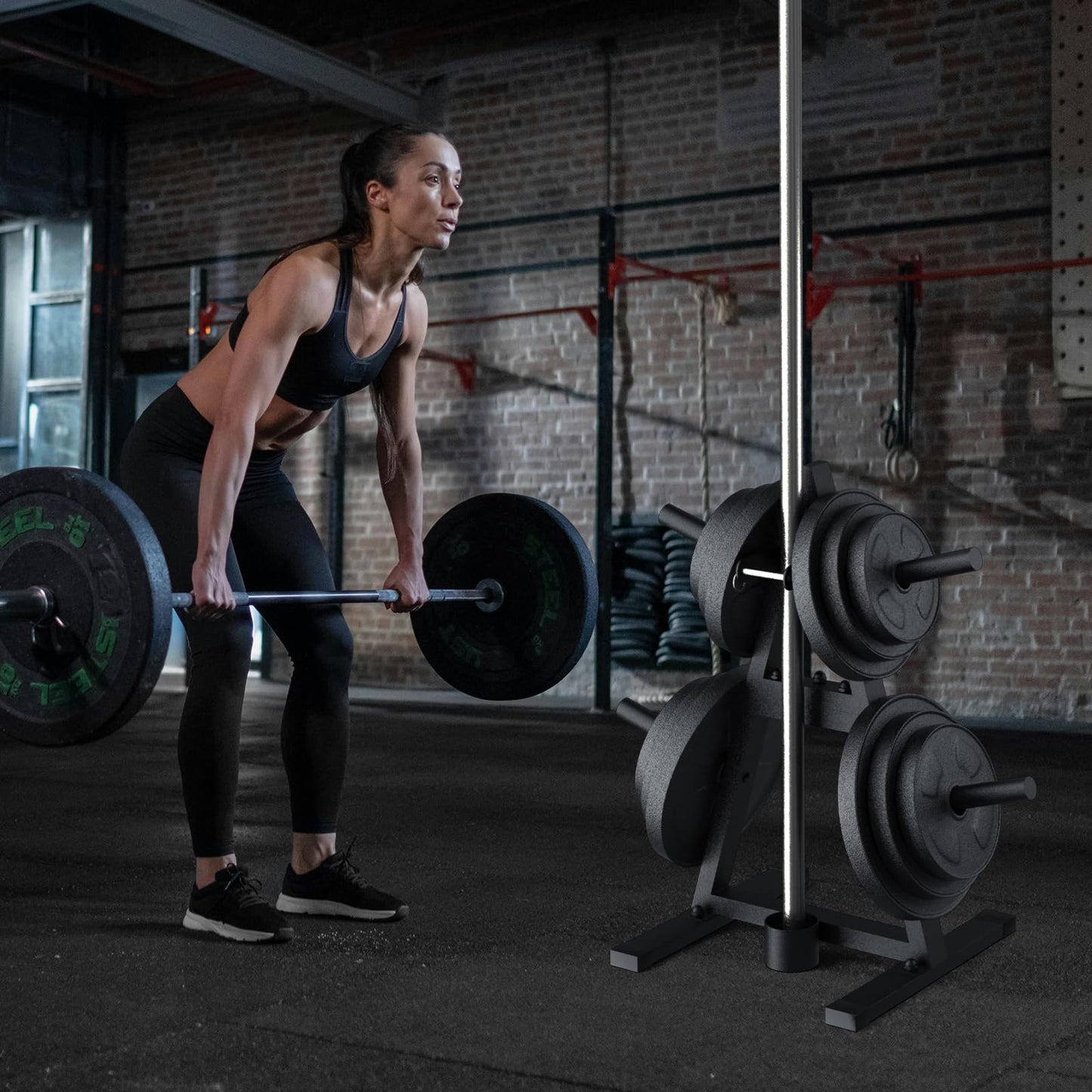 A-Frame Weight Plate Tree for 1" Olympic Plates - Holds 300 lbs, Dumbbell Rack and Home Gym Storage Stand - Organize Your Workout Area