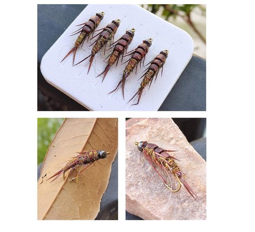 KTGCOZS Pack of 10 Nymph stonefly Fly Flies Trout Fishing Artificial Insect Fishing Bait Lure
