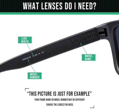 Well-aimed Replacement Lenses Compatible with Bolle Vigilante 10263 Sunglass - Black Polarized