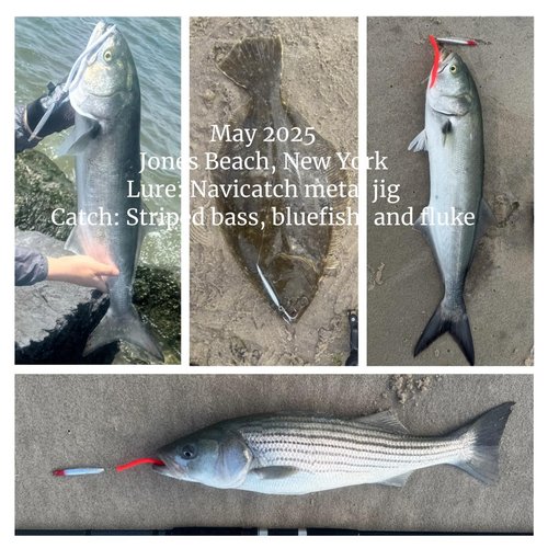 Navicatch Saltwater Fishing Lures Fishing Jigs Fishing Spoons for Bluefish, Striped bass Lures, Spanish Mackerel Metal Jigging,Shore Little Tunny Silver 3pcs. 1 2/5oz+1 4/5oz+ 2oz Premium to Choose