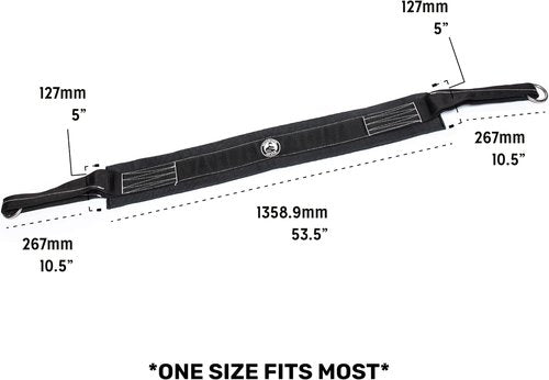 Belt Squat Belt [Bells of Steel] 5in Width Belt Squat Belt for Weight Lifting, Includes Chain - 12in, Heavy Duty Padded Belt Squat Attachment