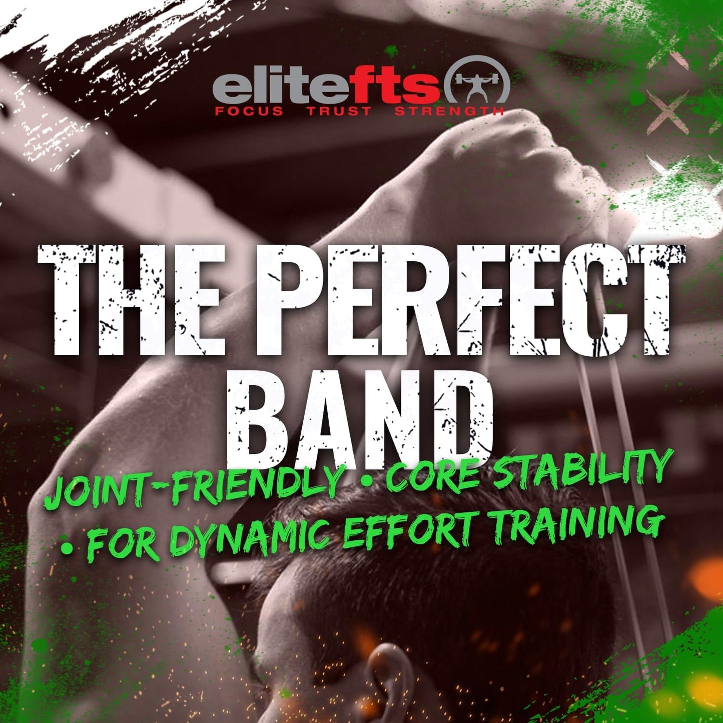 Pro Resistance Band for Core Stability & Flexibility - EliteFTS Portable & Joint-Friendly